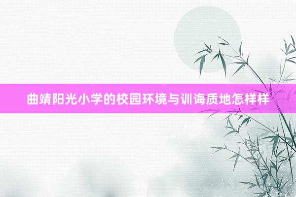 曲靖阳光小学的校园环境与训诲质地怎样样